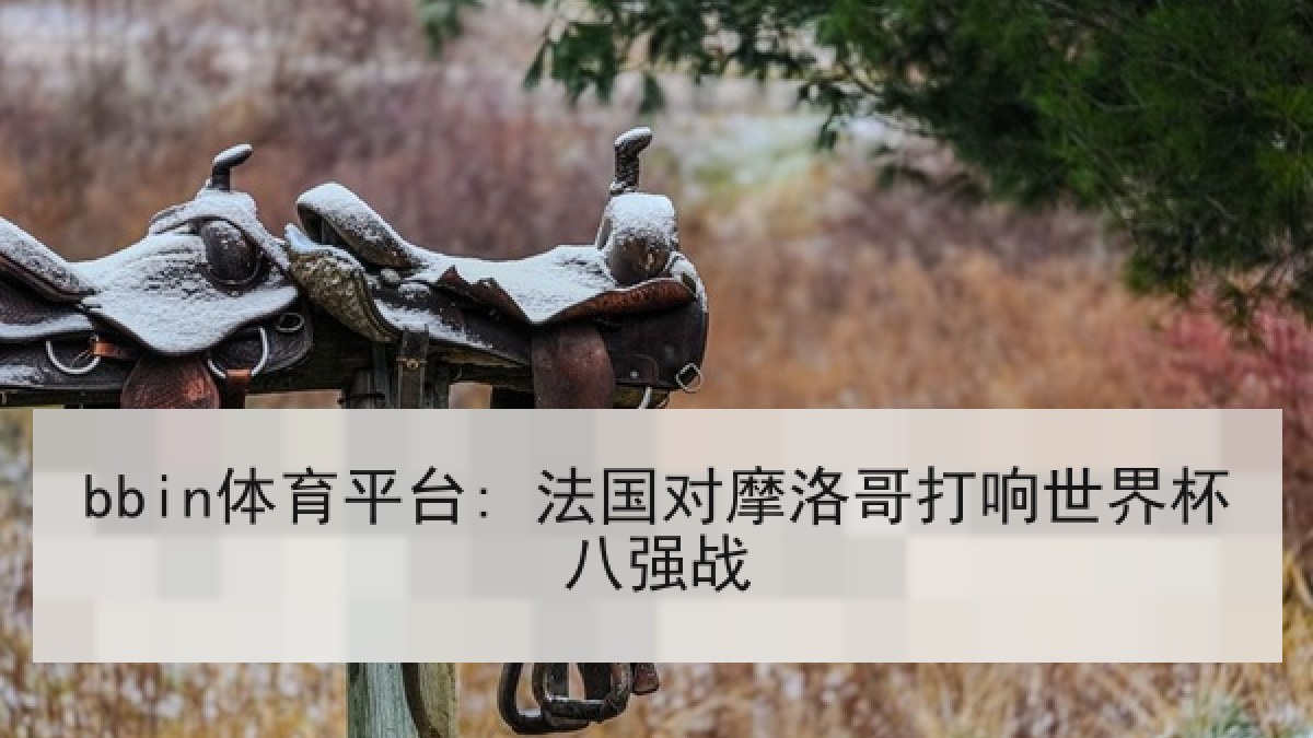 bbin体育平台: 法国对摩洛哥打响世界杯八强战