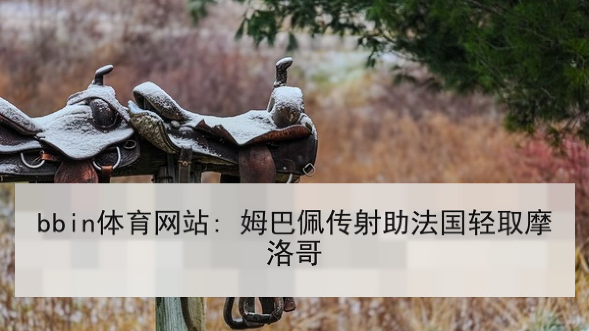 bbin体育网站: 姆巴佩传射助法国轻取摩洛哥