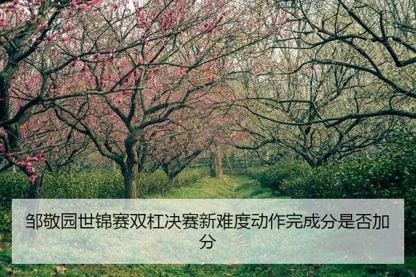zou-jing-yuan-shi-jin-sai-shuang-gang-jue-sai-xin-nan-du-dong-zuo-wan-cheng-fen-shi-fou-jia-fen-2-834.jpg