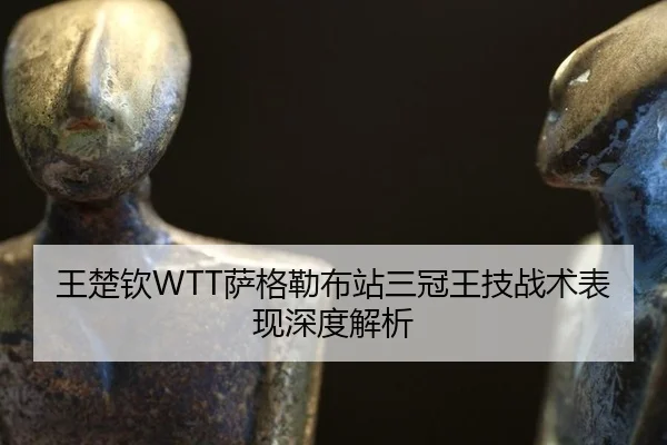 王楚钦WTT萨格勒布站三冠王技战术表现深度解析