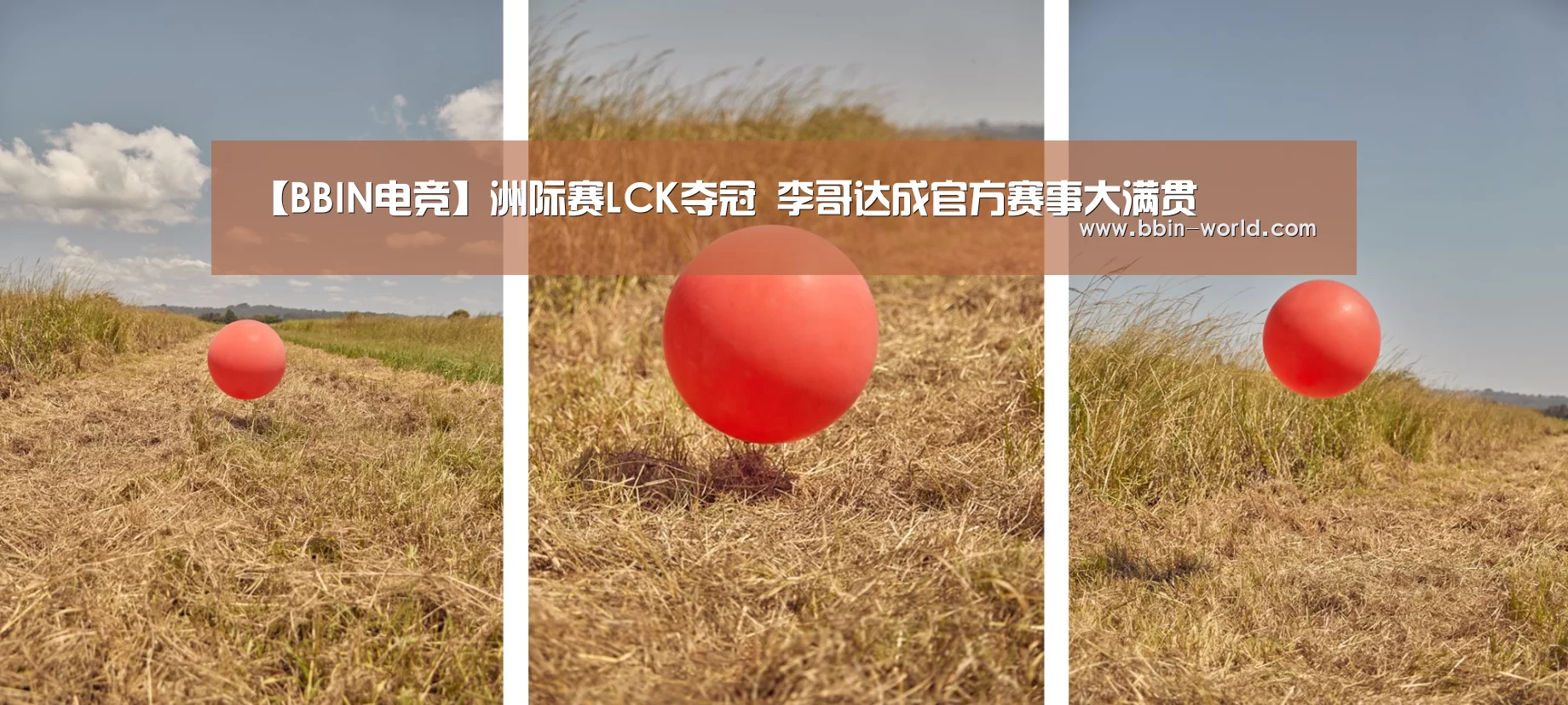 BBIN篮球